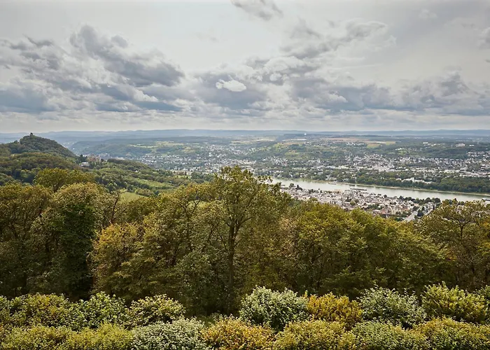 فندق Steigenberger Icon Grandhotel & Petersberg كونغسوينتر